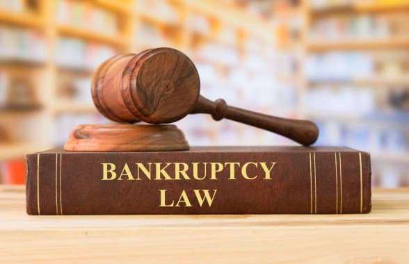 Expert Navigation through Bankruptcy Laws